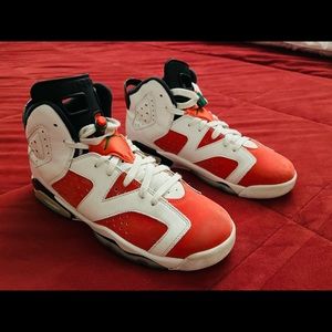 Air Jordan 6 Gatorade